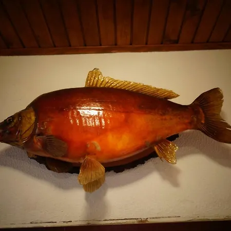 Ribiski Dom Maison d'hôtes