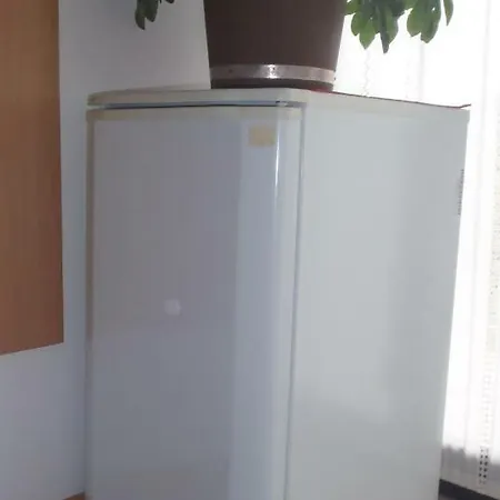 Πανσιόν Ribiski Dom *