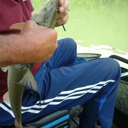 Ribiski Dom * Radece