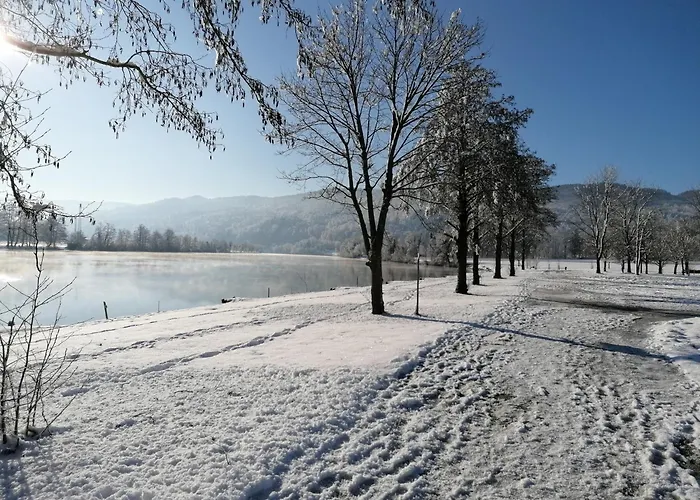 Hiša za goste Ribiski Dom Radece