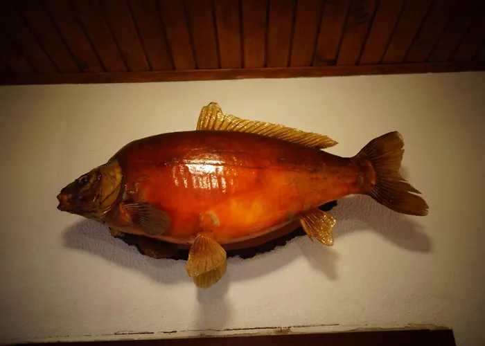 Ribiski Dom Hiša za goste