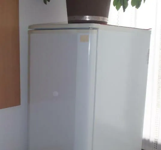 Hiša za goste Ribiski Dom *