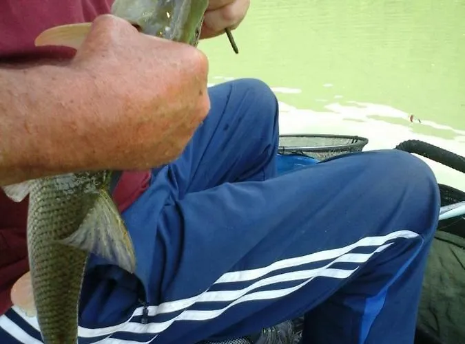 Ribiski Dom * Radece